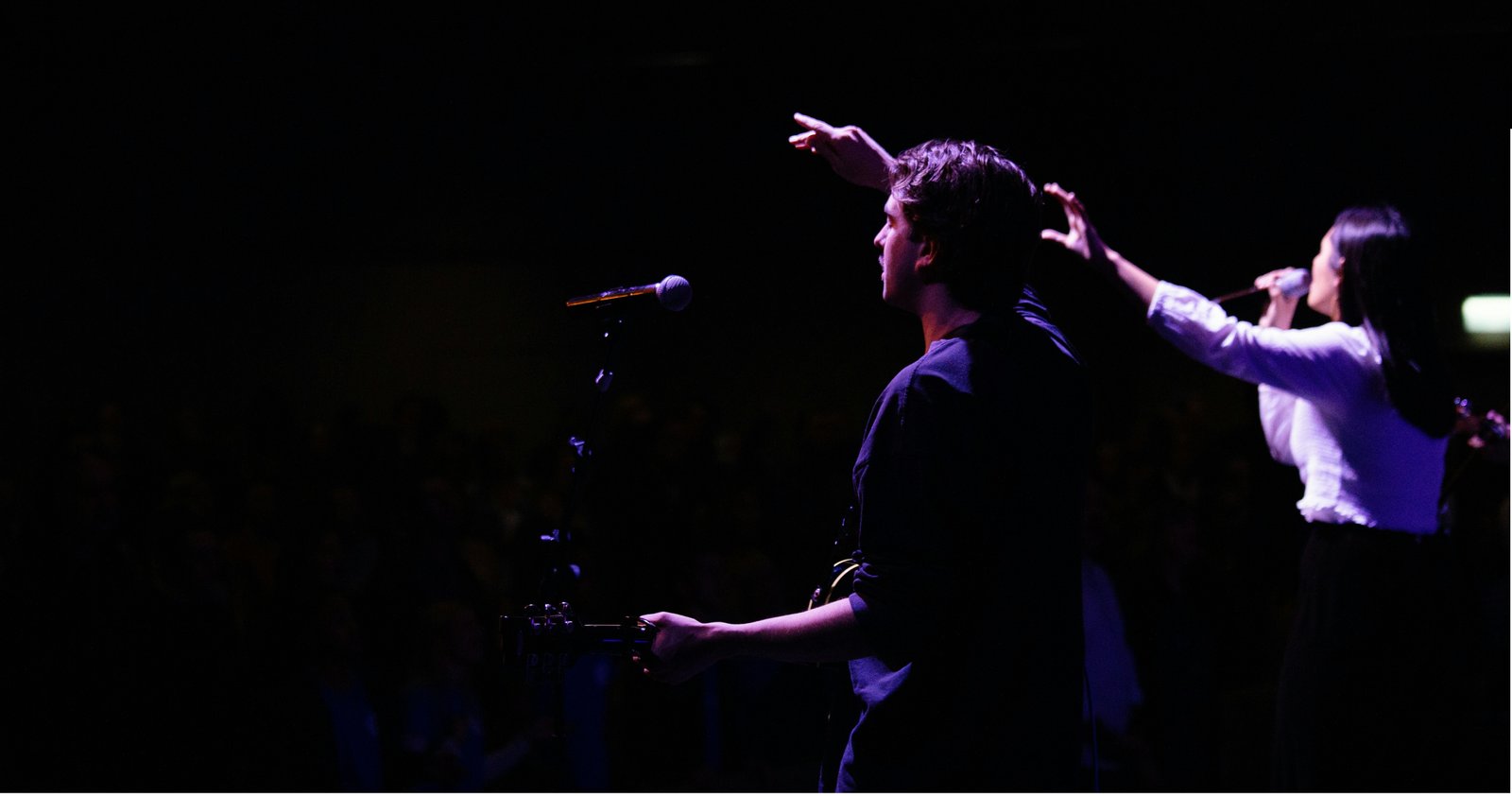 Playback Singing Course